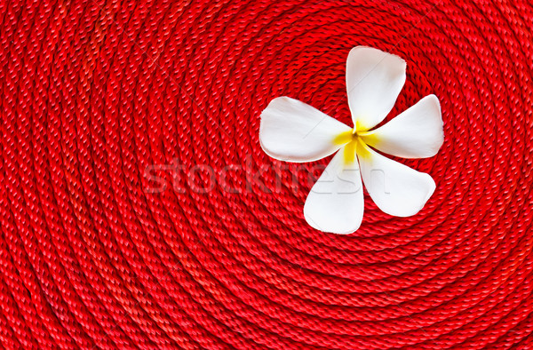 Flower on roll red rope Stock photo © stoonn