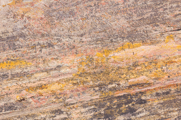 Textură piatră model culori mixt detaliu Imagine de stoc © stoonn