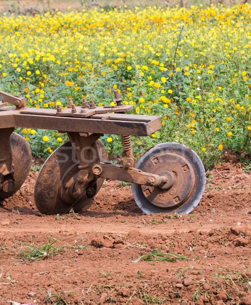 трактора трава покрытый области цветок Сток-фото © stoonn