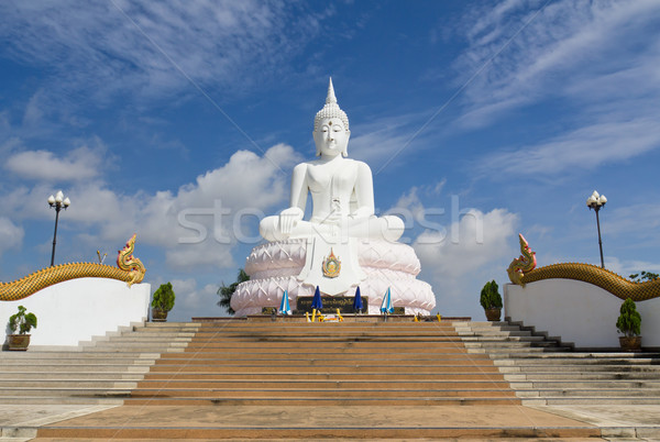 White Buddha statue  Stock photo © stoonn