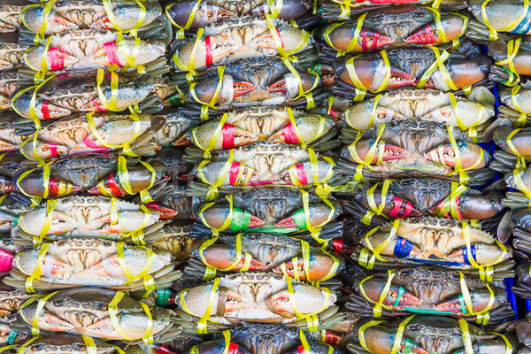 Zwarte krab modder vers markt voedsel Stockfoto © stoonn
