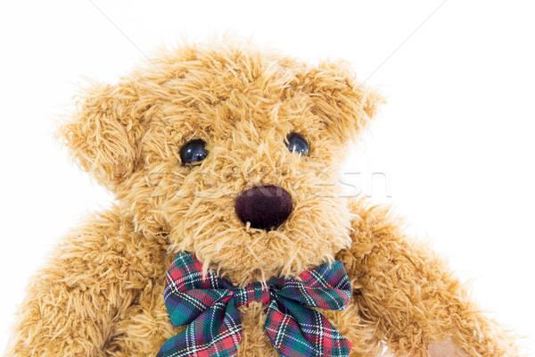 Teddybär Porträt weiß tragen Cowboy Stock foto © stoonn
