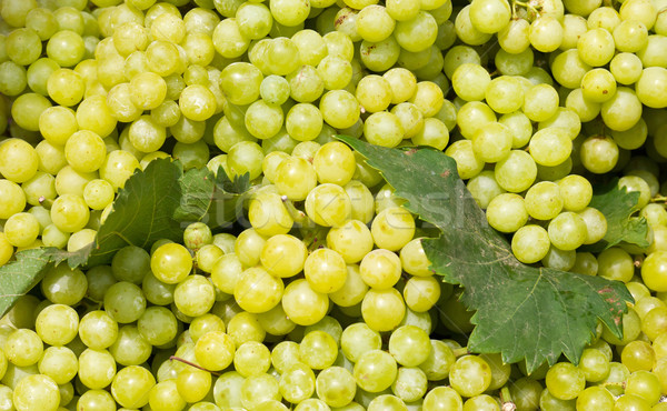 Raisins verts vin blanc raisins marché printemps alimentaire Photo stock © stoonn