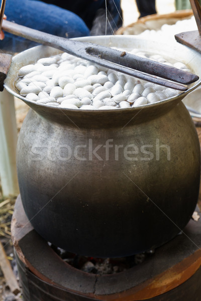 Boiling cocoon in a pot Stock photo © stoonn