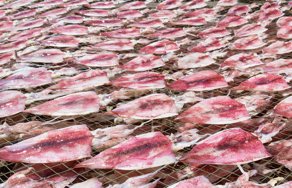 Calamari net forte sole asciugare frutti di mare Foto d'archivio © stoonn