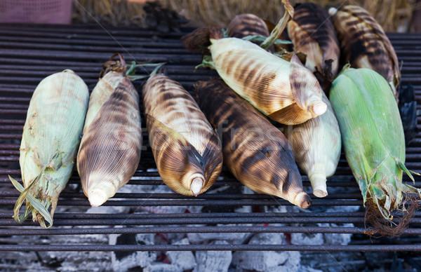 Grilled Corn  Stock photo © stoonn