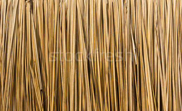 Straw background Stock photo © stoonn