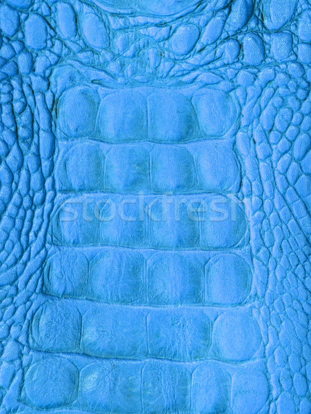 Krokodil cilt doku dizayn çerçeve Stok fotoğraf © stoonn