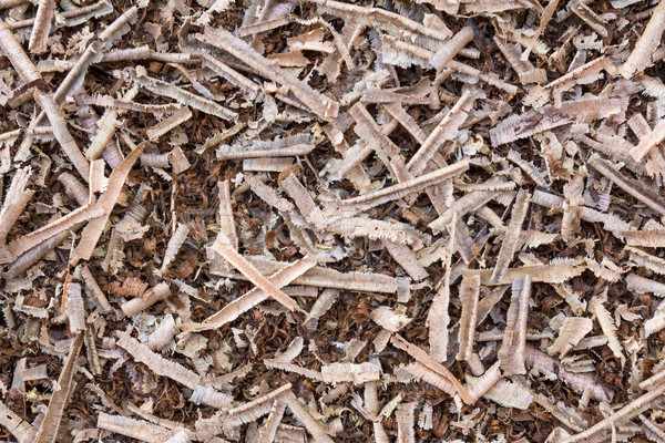 Wooden sawdust Stock photo © stoonn
