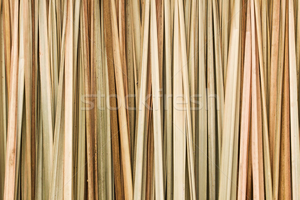 Texture of straw Stock photo © stoonn