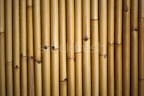  Bamboo background Stock photo © stoonn