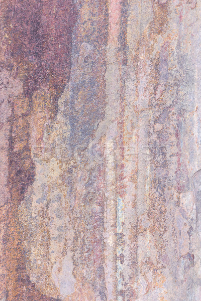 Texture of gray stone Stock photo © stoonn
