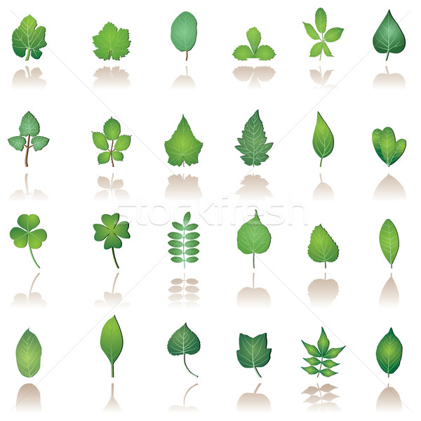 tree leafs and nature icons Stock photo © stoyanh