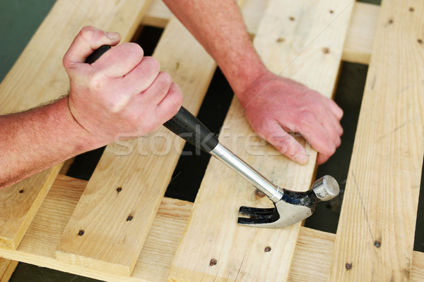 Zimmermann Klaue Hammer Nagel nach unten Holz Stock foto © stryjek