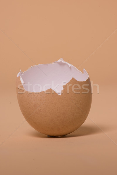 Empty broken brown egg shell Stock photo © stryjek