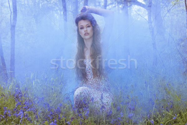 Künstlerischen Porträt Mädchen Rauch blau Frau Stock foto © stryjek
