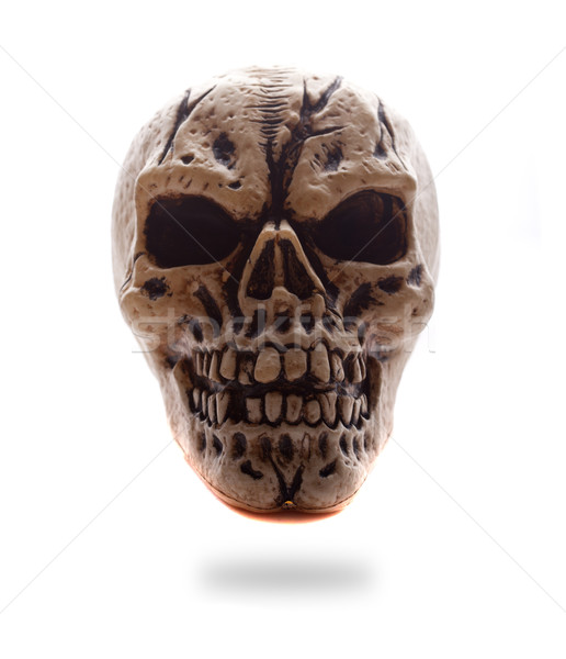 Frontal View Human Skull Stock photo © stryjek