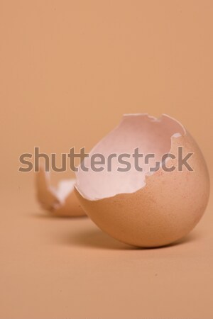 Empty halved broken egg shell Stock photo © stryjek