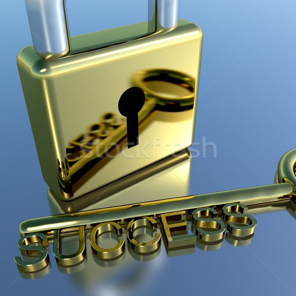 Padlock With Success Key Showing Strategy Planning And Solutions Stock photo © stuartmiles