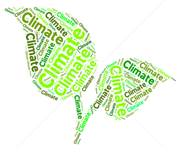 Climate Word Means Atmospheric Conditions And Meteorological Stock photo © stuartmiles