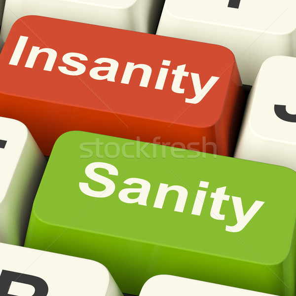 Insanity Sanity Keys Shows Sane Or Insane Psychology Stock photo © stuartmiles