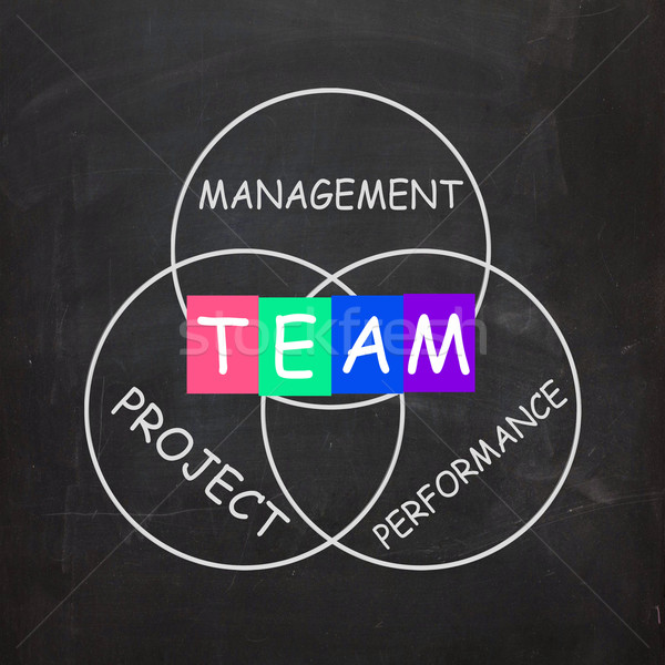 Words Refer to Team Management Project Performance Stock photo © stuartmiles