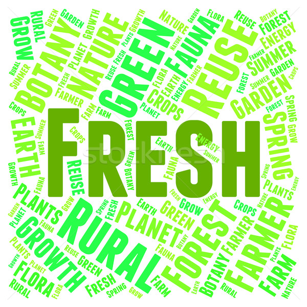 Fresh Word Represents Words Unprocessed And Freshness Stock photo © stuartmiles