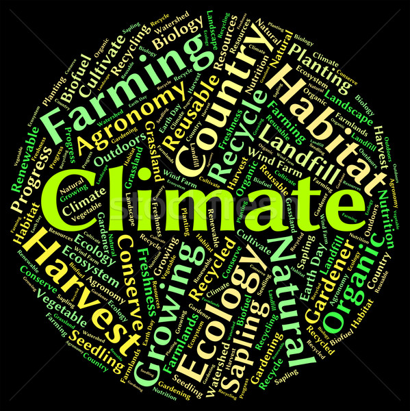 Clima palavra atmosférico tempo padrões Foto stock © stuartmiles