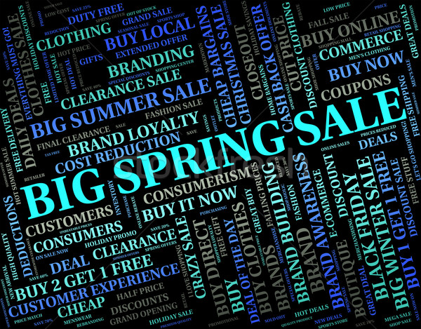 Big Spring Sale Indicates Offers Promo And Springtide Stock photo © stuartmiles