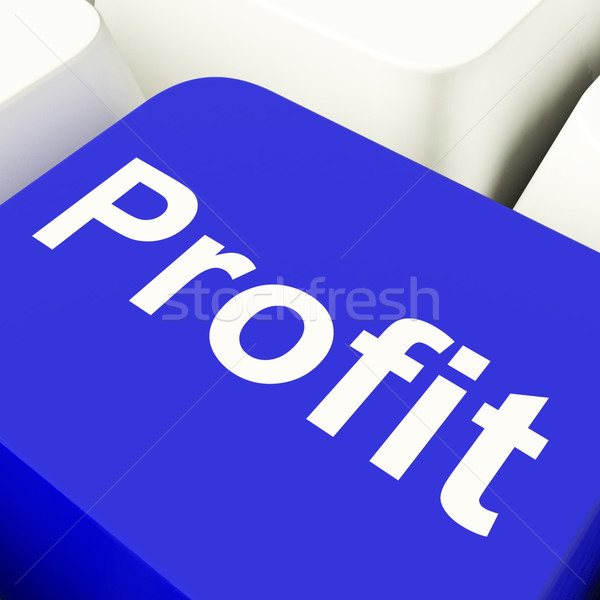 Profit Computer Key In Blue Showing Earnings And Investment Stock photo © stuartmiles