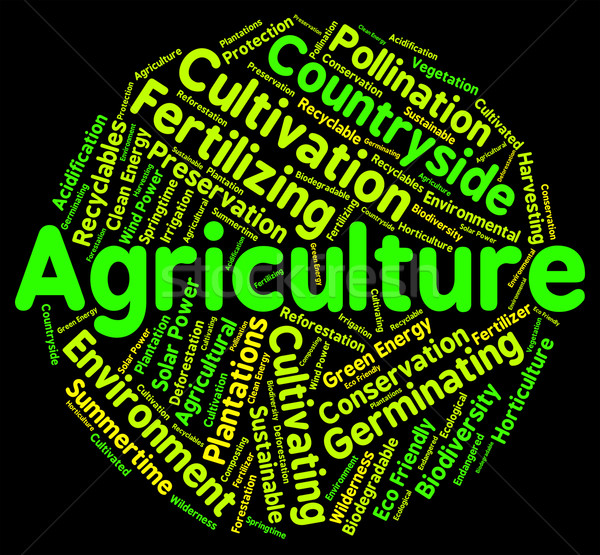 Agriculture Word Shows Farms Text And Words Stock photo © stuartmiles