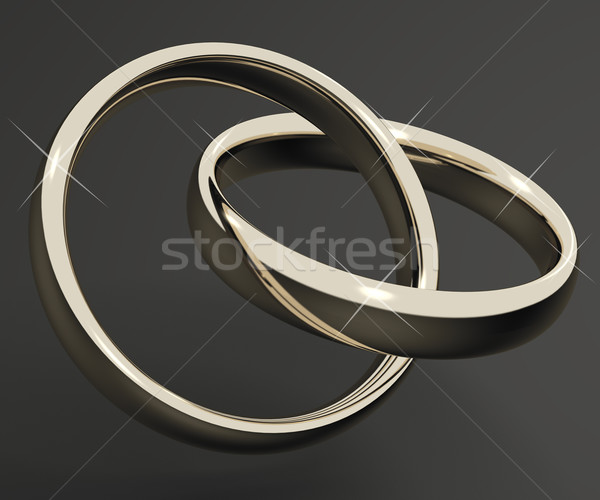 Silver Or White Gold Rings Representing Love Valentines And Roma Stock photo © stuartmiles