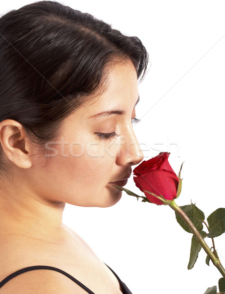 Amor Rose Red mujer aumentó flor Foto stock © stuartmiles