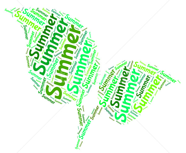 Summer Word Represents Hot Weather And Heat Stock photo © stuartmiles