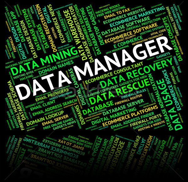 Data Manager Shows Executive Bytes And Fact Stock photo © stuartmiles