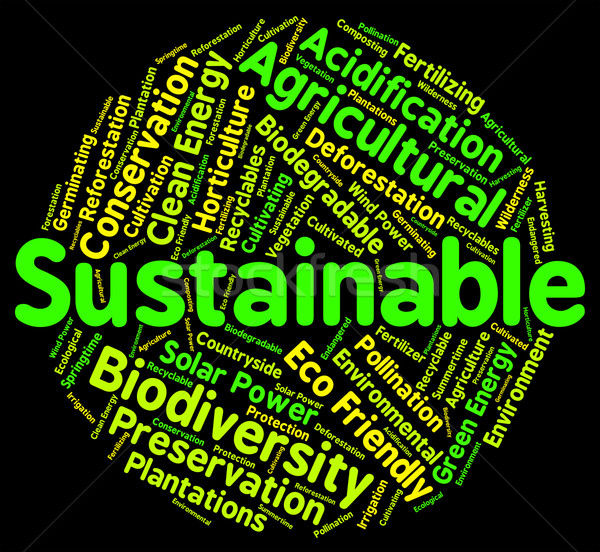 Sustainable Word Indicates Sustained Ecological And Recycle Stock photo © stuartmiles