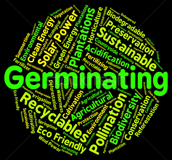 Germinating Word Represents Growth Cultivation And Cultivate Stock photo © stuartmiles