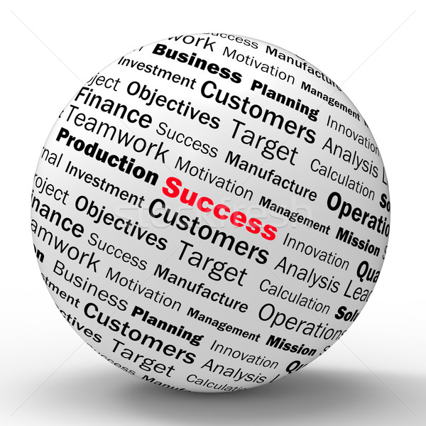 Success Sphere Definition Means Determination And Leadership Stock photo © stuartmiles