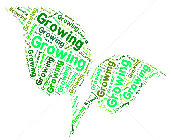 Growing Word Shows Growth Grows And Cultivation Stock photo © stuartmiles