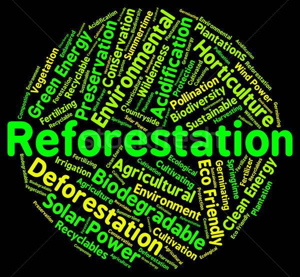 Reforestation Word Shows Again Woodlands And Words Stock photo © stuartmiles