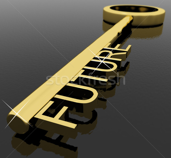 Schlüssel Zukunft Text Symbol Schicksal Ziel Stock foto © stuartmiles