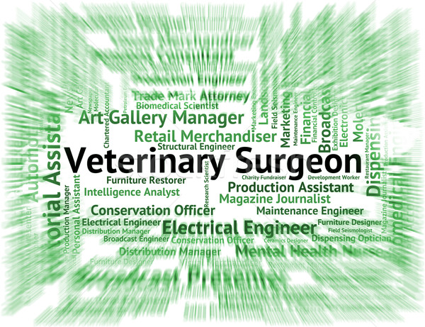 Veterinary Surgeon Means Veterinarian Text And Words Stock photo © stuartmiles
