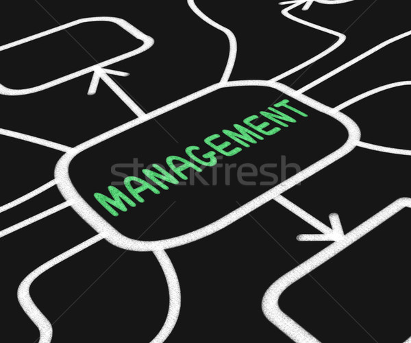 Gestão diagrama administração significado negócio Foto stock © stuartmiles