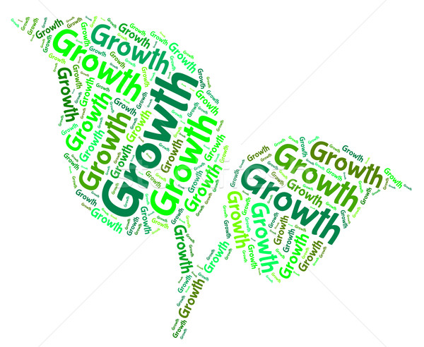 Growth Word Indicates Grows Words And Cultivates Stock photo © stuartmiles