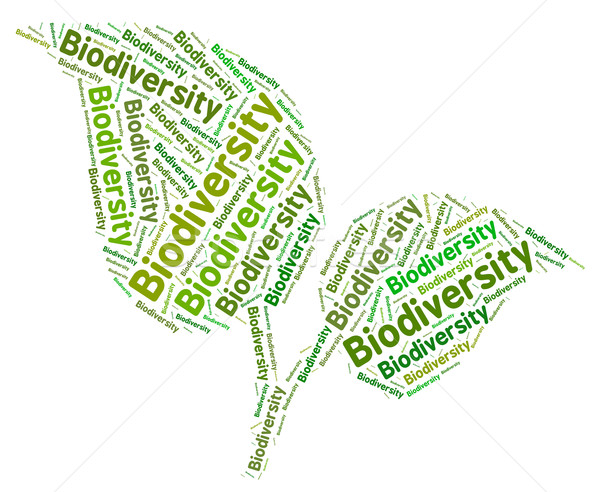 Biodiversity Word Means Plant Life And Biodiverse Stock photo © stuartmiles