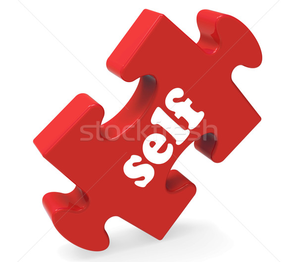 Self Puzzle Shows Believe Me Yourself Or Myself Stock photo © stuartmiles