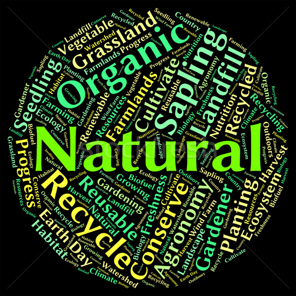 Natural Word Shows Pure Tree And Genuine Stock photo © stuartmiles