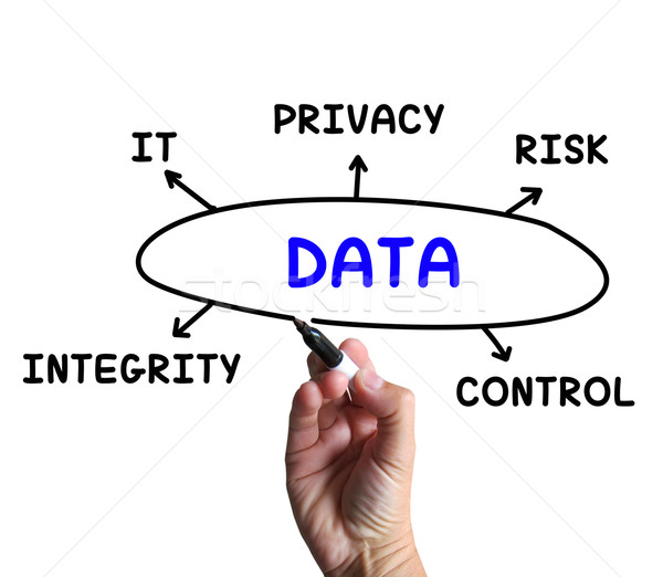 Data Diagram Means IT Control And Risk Stock photo © stuartmiles