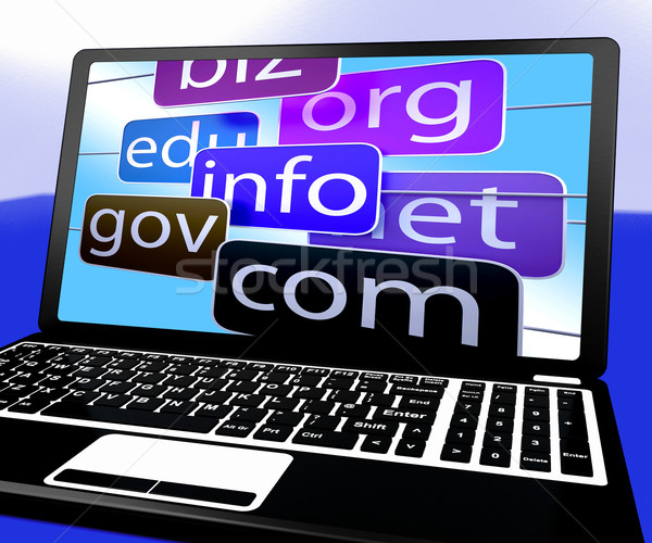 Domains On Laptop Showing Internet Websites Stock photo © stuartmiles