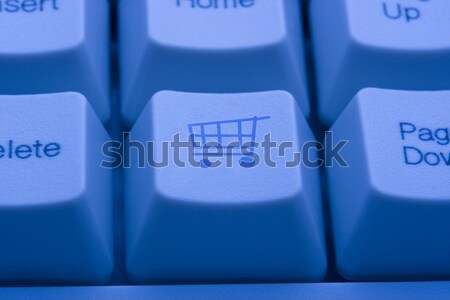 Internet Shopping Cart Payment Press Button Stock photo © stuartmiles